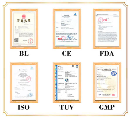 Approximately 5kg Acupuncture Body Model With Versatility Can Be Used Various Acupuncture Techniques Ensuring Safety and Comprehensive Study