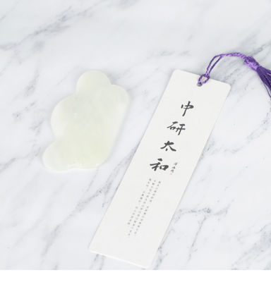 Tragbare Akupunktur-Massage-Werkzeuge: Ihre Komplettlösung für Akupunktur- und Massagetherapie