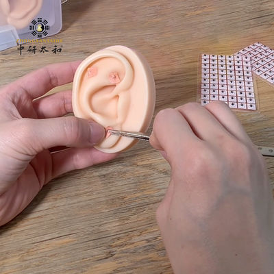 Effektive Gesundheitsberatung mit 100 natürlichen Ohr-Vaccaria-Samen und Warnhinweisen