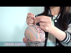 Hwato Ohr Akupunktur Drücken Nadeln Wirksam Blutzirkulation fördern 0,22 * 1,5 mm